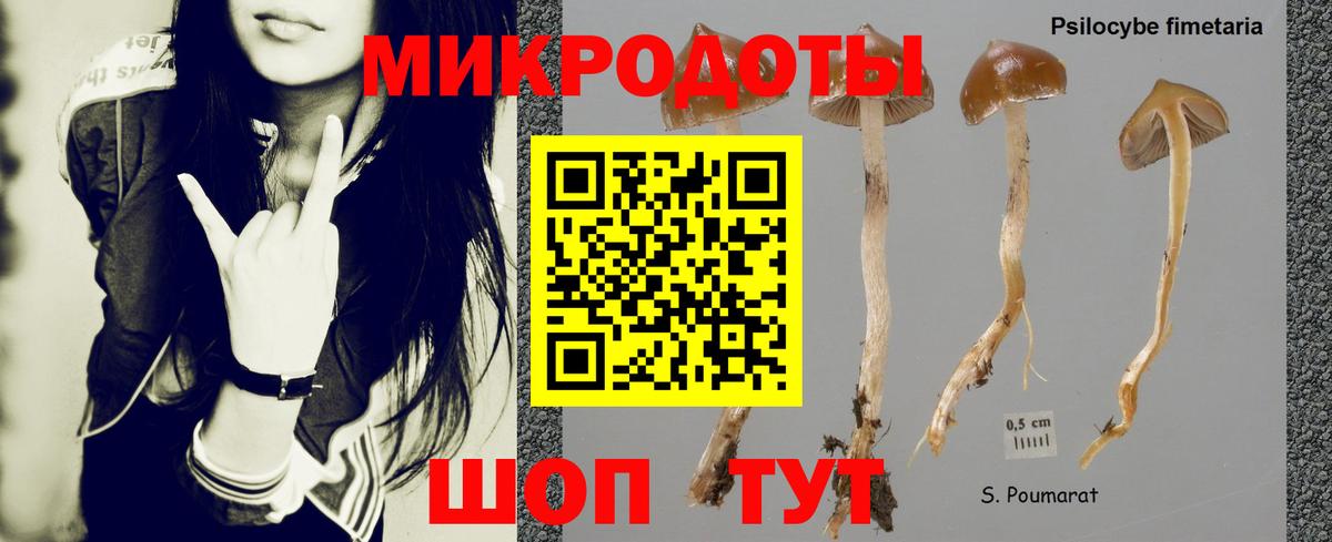 Галлюциногенные грибы Magic Shrooms Оренбург