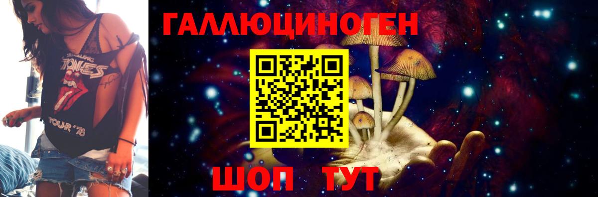 Псилоцибиновые грибы GOLDEN TEACHER  Галлюциногенные грибы Cubensis  Оренбург  Вход с VPN 